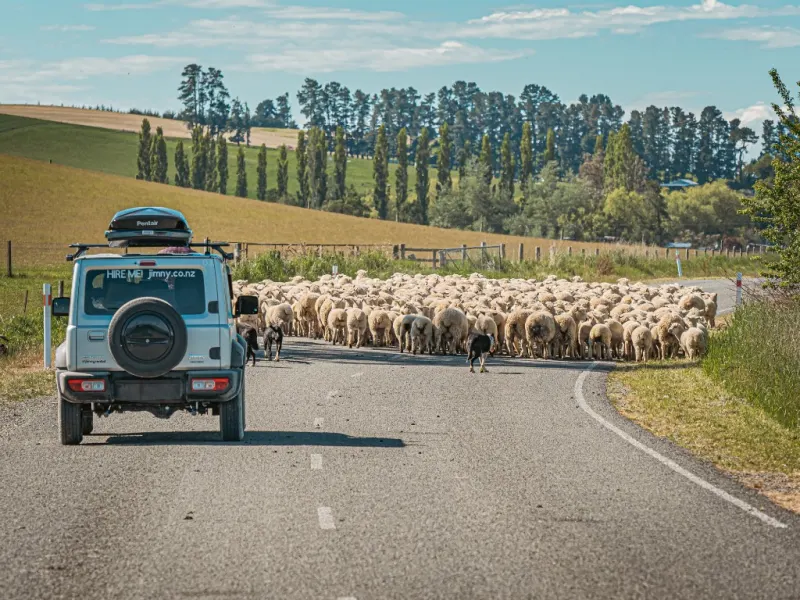 A Jimny Rentals vehicle on hire in the South Island